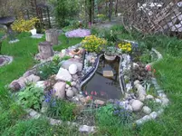 DSCF0381_6_1.webp