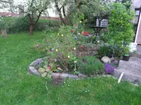 DSCF0377_2_1.webp
