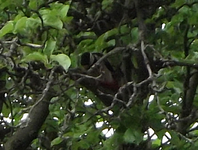 DSCF4382-crop.webp