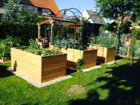 Foto 2.webp