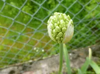 P1120700.webp