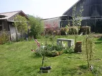 SDC10997.webp