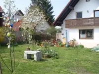 SDC11001.webp