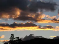 SU 9.5.14 (1).webp