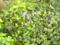 09052014123.webp