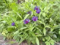 09052014122.webp