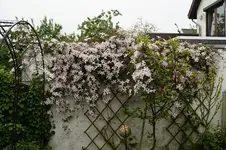 _DSC5771.webp