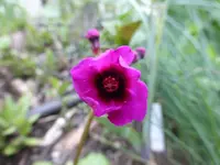 P1070420.webp