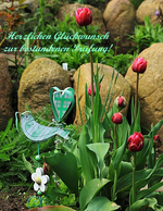 pinke gefüllte Tulpe_Gartendeko.webp