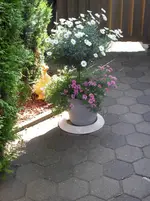 SDC10701.webp