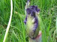 014_1024x768.webp