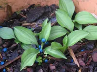 010_1024x768.webp