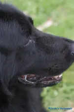 comp_DSC01265.webp