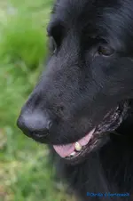 comp_DSC01266.webp