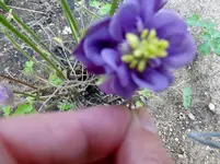 P1010596.webp