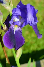 DSC_0022.webp