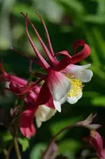 DSC_0014.webp