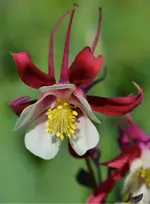 DSC_0016.webp