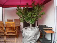 DSC00650.webp DSC00650.webp