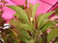 DSC00652.webp DSC00652.webp