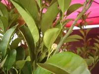 DSC00653.webp DSC00653.webp