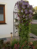 2012-06-18 (7).webp