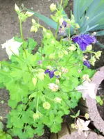 image.webp