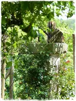 Alberic Barbiere.webp