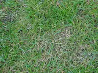 DSC01740.webp