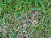 DSC01742.webp