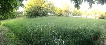 G_Wiese_oben_Panorama02__05.05.2014_mr.ditschy.webp