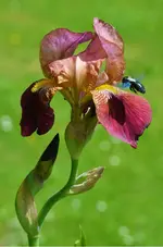 DSC_0008.webp