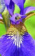 DSC_0028.webp