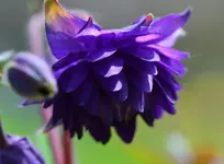 DSC_0046.webp