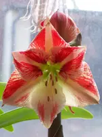 002.webp