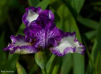 IMG_8522.webp