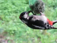 023_1024x768.webp