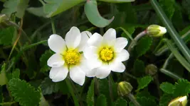 DSCN2351.webp