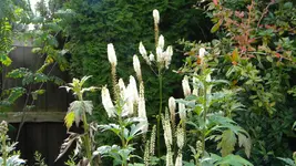 DSCN5700.webp