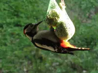 011_1024x768.webp