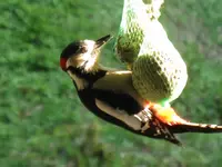 015_1024x768.webp