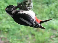 025_1024x768.webp