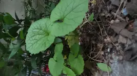 20140508_193238.webp