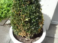 SAM_3879.webp