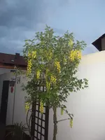 DSCF0356.webp