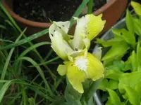sonnen trude_1024x768.webp