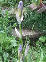 004_576x768.webp