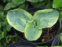 007_1024x768.webp