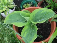 008_1024x768.webp