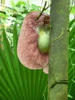 CIMG7552.webp